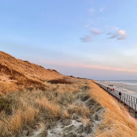 Seestern Wenningstedt-Braderup