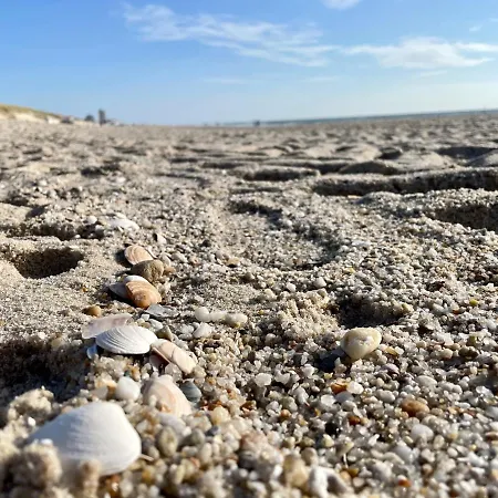 Seestern * Wenningstedt-Braderup