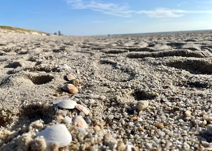 Seestern * Wenningstedt-Braderup